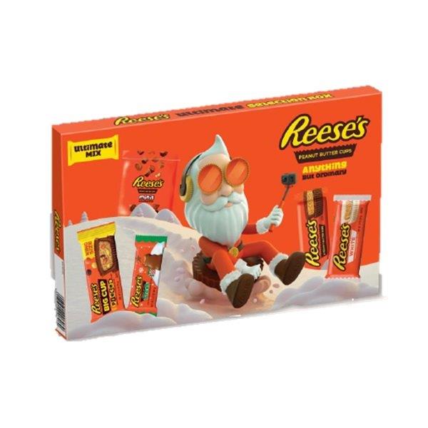 Reeses Mix 5pk Selection Box 259g